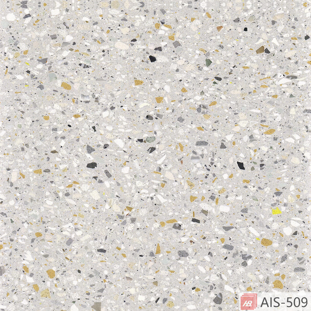 AIS-509